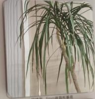 Бамбуковое волокно + ПВХ (Серия металл) БсМетС-7103