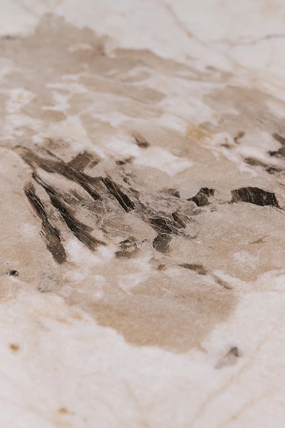 Мраморная крошка + ПВХ (Мраморная серия) KКC (SSS) - 005