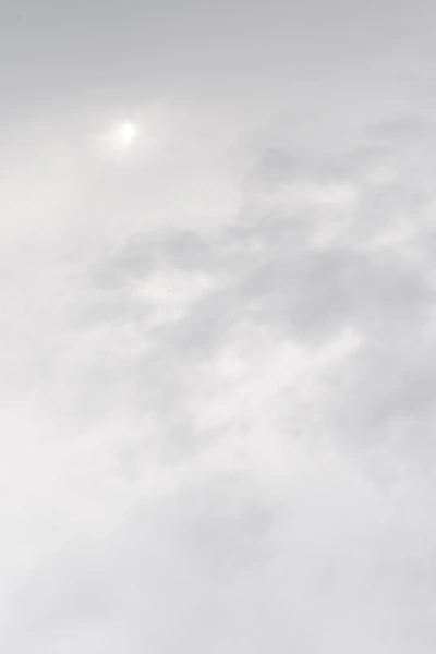 Бамбуковое волокно + ПВХ (Серия металл) БсМетС-7103